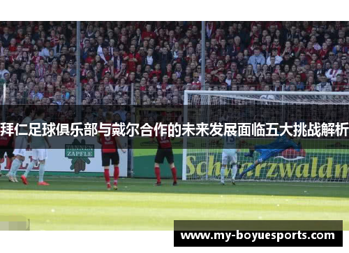 拜仁足球俱乐部与戴尔合作的未来发展面临五大挑战解析 拜仁足球俱乐部与戴尔合作的未来发展面临五大挑战解析