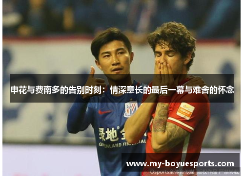 申花与费南多的告别时刻:情深意长的最后一幕与难舍的怀念 申花与费南多的告别时刻:情深意长的最后一幕与难舍的怀念